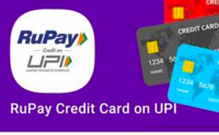 PhonePe - Flat Rs.50 Cashback on Transaction with UPI Linked Credit Card on Min Transaction of Rs.100 (user specific) 