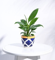 Pepperfry Flash Deal - Rose Blue Ceramic Apple Shape Desk Pot Desk Pot @ Rs.10 [Free Shipping For Some Users]