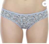 FIMS  Women Hipster Grey Panty