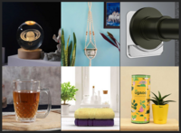 What The Fry Deals upto 78% off (21 May'24)