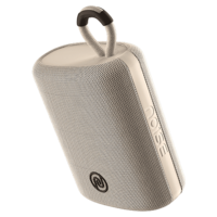 Noise New Launch Vibe 2 5W Speaker