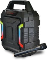 Zync Karaoke 32 Watt Wireless Bluetooth Portable Speaker with Wireless mic