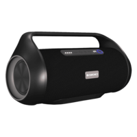 ZEBRONICS Zeb-Sound Feast 300 48W Bluetooth Party Speaker (Voice Assistant Support, Stereo Channel, Black)