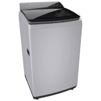 BOSCH 8 kg Fully Automatic Top Load Washing Machine (Series 2, WOE802S7IN, Multiple Water Protection, Silver)