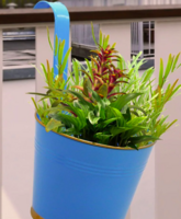 What the fry deals Upto 80% off 