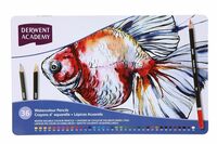 Derwent Academy Watercolour Pencils Tin (Set Of 36), Blue, Multi