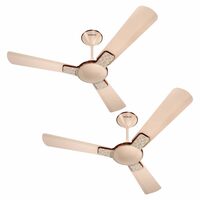 Havells Enticer Art 1200mm 2 Star Energy Saving Ceiling Fan (Fauna Champagne, Pack of 2)