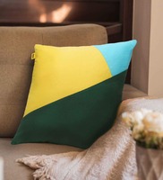 (New ) what the fry deal Multicolor Cotton Solid 16x16 inches Cushion Cover (1Pc)