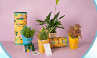 Garden Festival- Indoor Plants Pots & More Starting at Rs.99 (20-22 June)