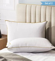 Microfiber 27 x 17 Inch Pillows (Set of 2)