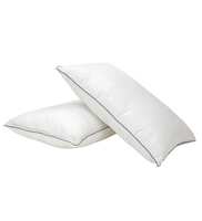 Stripe Microfiber 24 L x 16 W Inch Pillow With Blue Lining (Set of 2)