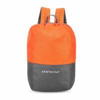 (Lowest) Aristocrat 15 Litre (41 Cms) Laptop Backpack(Bpdrpkeong_Orange)