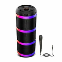 pTron Newly Launched Fusion Theatre 60W Karaoke Bluetooth Party Speaker