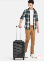 Myntra : Teakwood Leathers Suitcase Starts @1099