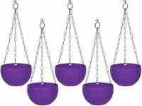 GTB Hanging PLANTERS Round Shape Garden Hanging Flower Port | Crystal Flower Pots Flower Pot | Hanging Planter | Metal Hanging Chain | Flower Pots for Home Garden Balcony Pack of 5 (Purple)