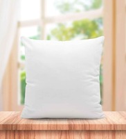Microfiber Filled Polyester 12 x 12 Inch Cushion Insert  By Gilson