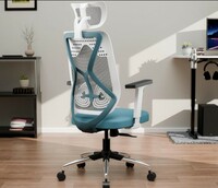 Green Soul® | Zodiac Lite | Office Chair | Flybird Ergonomic Design | 1D PP Padded Adjustable Armrests | Synchro Tilt Mechanism | Adjustable Lumbar Support | No Seat Slider (White Teal New)