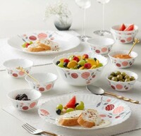 Larah by Borosil Pack of 17 Opalware Dahlia Galaxy Series Crockery for Dining & Gifting Dinner Set