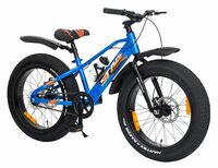 [PRIME EARLY DEAL]VESCO STAG BLUE 20.400 Fat Bike (Single Speed, Blue)