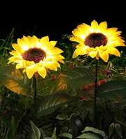 What the fry deals upto 76% off (20 july)