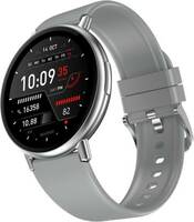 Fire-Boltt Destiny Silicon Straps, 35.3mm (1.39inch) Display, BT call, 123 sports modes Smartwatch  (Silver Strap, Free Size)