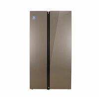 Lloyd Havells 587L 5 Star Side By Side Refrigerator