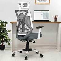 Da URBAN® Merlion Office Chair,High Back Mesh Ergonomic Home Office Desk Chair with 3 Years Warranty