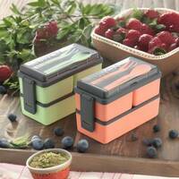 Porslin Combo of 2 Pista and Orange Lunch Box with Spoon and Fork  (3000 ml)