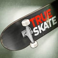 True skate game
