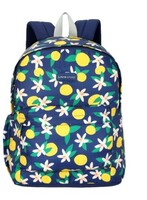 Upto 87% Off Lavie Sports Backpack
