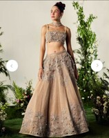 Payal & Zinal lehenga 