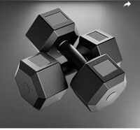 Gauriaaa weight 6KG Dumbbell PVC ANSH42 Adjustable Dumbbell (10 kg)