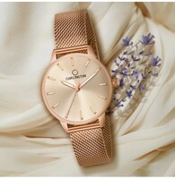 Carlington Carlington Elite Ladies With Self Adjustable Mesh Strap And Water Resistant Analog Watch - For Women CT2007