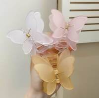 Korean Clips ,Hair Extensions & More From Rs.38