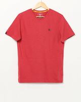 Teamspirit, Pureza & more T-Shirts Starts at Rs.100