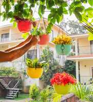 Euro Set of 5 Hanging Planters