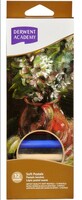 Derwent Academy Soft Pastels 