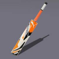 PUMA Future EW SNR 7.1 English Willow Cricket Bat  (1180-1220 g)
