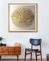 Upto 87% off on Wall Decor