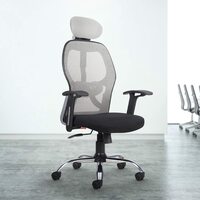CELLBELL Tauras Lite C100 Mesh High Back Office Chair/Study Chair/Computer Chair