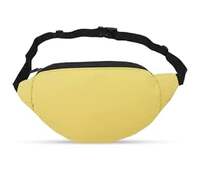 BigPlayer Travel Waist Bag Stylish and Functional Waist Bags for Men and Women Waterproof, Nylon Trainer Waist Bag with Adjustble Waist Belt Travel