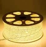 @299 Astern Yellow Rice Lights 600 LED