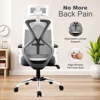 ASTRIDE Ergofit Ergonomic Office Chair with Adjustable Arms & Lumbar Support