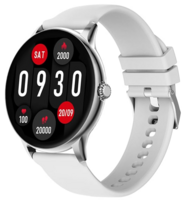 Fire-Boltt Phoenix Pro Smart Watch (Silver Grey)