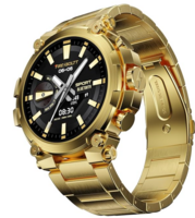 Fire-Boltt Dominia Watch (Gold) 