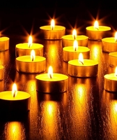 Homesake Pack of 100 Wax Tealight Candle Holder