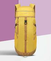 SKYBAGS  MOUNT RUCKSACK 45L-MUSTARD Rucksack - 45 L  (Yellow)