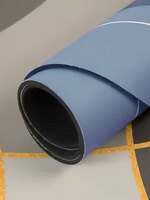 Cortina Premium Silicon Floor Mat, Bath Mat, Doormat, Bathroom Carpet, Cushion Mat Super Absorbent Soft Carpet, Quick Dry Dirt Barrier for Home, Office, (60x40), Blue