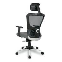 SAVYA HOME Beatle High Back Ergonomic Office Chair with Adjustable Arms and 2D Lumbar Support (Ergonomic Meshback) (Grey)