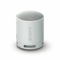 Sony New Srs-Xb100 Wireless Bluetooth Portable Speaker